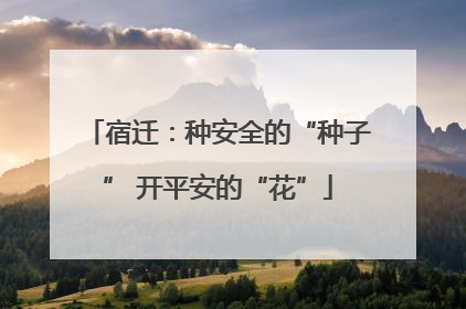 宿迁：种安全的“种子” 开平安的“花”