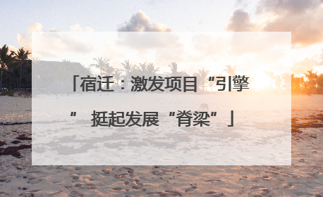 宿迁：激发项目“引擎” 挺起发展“脊梁”