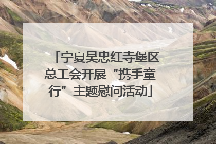 宁夏吴忠红寺堡区总工会开展“携手童行”主题慰问活动