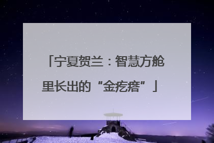 宁夏贺兰：智慧方舱里长出的“金疙瘩”