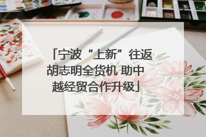宁波“上新”往返胡志明全货机 助中越经贸合作升级