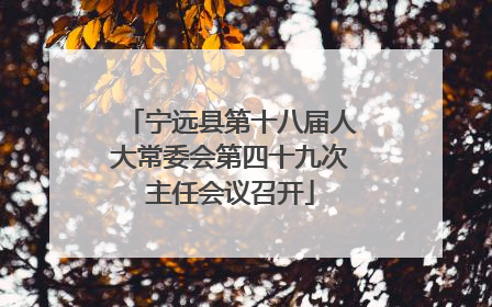 宁远县第十八届人大常委会第四十九次主任会议召开
