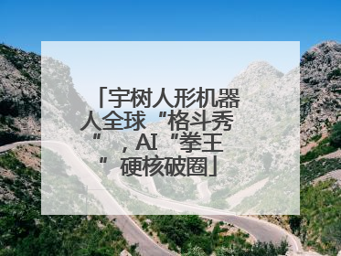 宇树人形机器人全球“格斗秀”，AI“拳王”硬核破圈