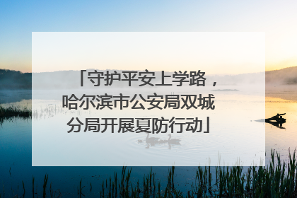 守护平安上学路，哈尔滨市公安局双城分局开展夏防行动