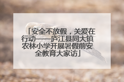 安全不放假，关爱在行动——庐江县同大镇农林小学开展暑假前安全教育大家访