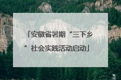 安徽省暑期“三下乡”社会实践活动启动