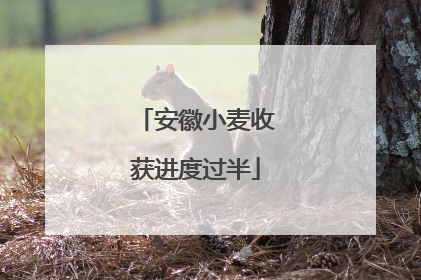 安徽小麦收获进度过半