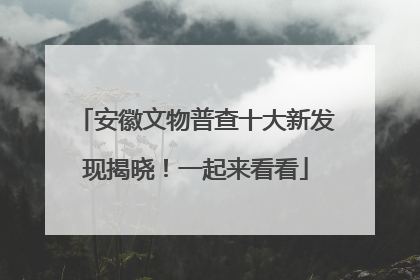 安徽文物普查十大新发现揭晓！一起来看看