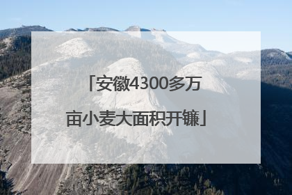 安徽4300多万亩小麦大面积开镰