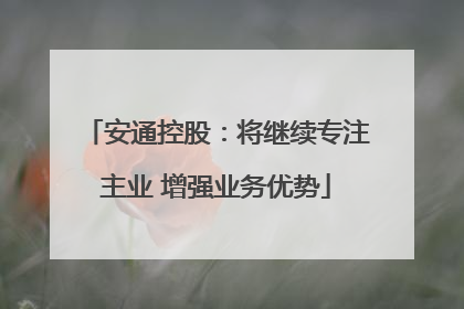 安通控股：将继续专注主业 增强业务优势