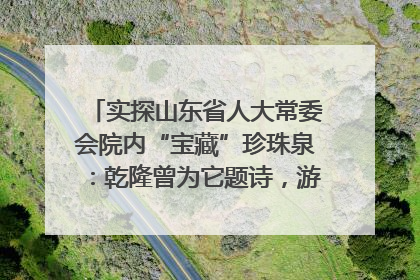 实探山东省人大常委会院内“宝藏”珍珠泉：乾隆曾为它题诗，游客无需预约免费游览