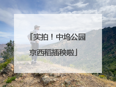 实拍！中坞公园京西稻插秧啦