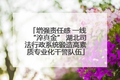 增强责任感 一线“淬真金” 湖北司法行政系统锻造高素质专业化干警队伍