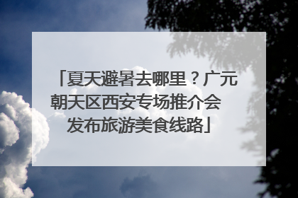 夏天避暑去哪里？广元朝天区西安专场推介会 发布旅游美食线路