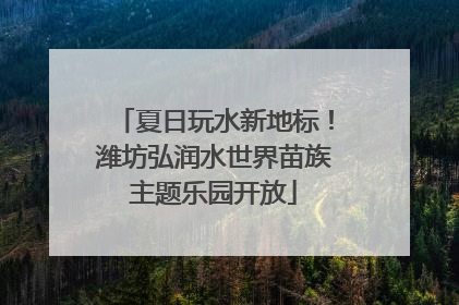 夏日玩水新地标！潍坊弘润水世界苗族主题乐园开放