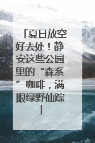 夏日放空好去处！静安这些公园里的“森系”咖啡，满眼绿野仙踪
