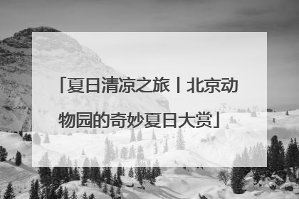 夏日清凉之旅丨北京动物园的奇妙夏日大赏