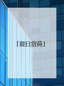夏日赏荷