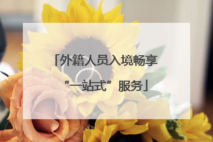 外籍人员入境畅享“一站式”服务
