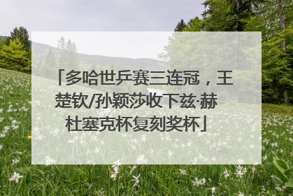 多哈世乒赛三连冠，王楚钦/孙颖莎收下兹·赫杜塞克杯复刻奖杯