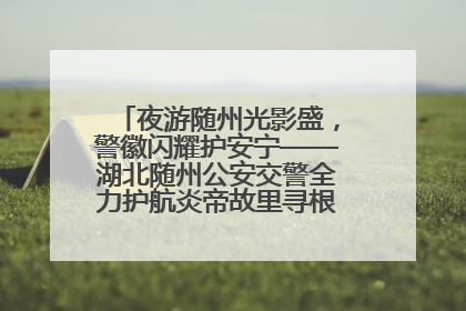 夜游随州光影盛，警徽闪耀护安宁——湖北随州公安交警全力护航炎帝故里寻根节夜游活动侧记