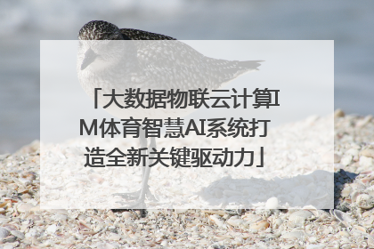 大数据物联云计算IM体育智慧AI系统打造全新关键驱动力