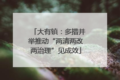 大有镇：多措并举推动“两清两改两治理”见成效