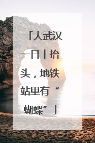 大武汉一日丨抬头，地铁站里有“蝴蝶”