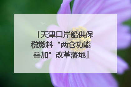 天津口岸船供保税燃料“两仓功能叠加”改革落地