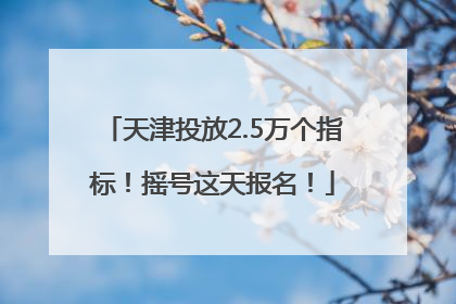 天津投放2.5万个指标！摇号这天报名！