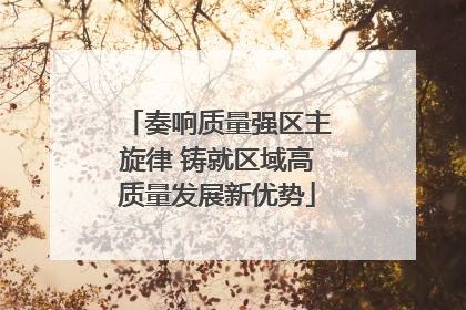 奏响质量强区主旋律 铸就区域高质量发展新优势