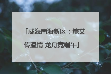 威海南海新区：粽艾传温情 龙舟竞端午