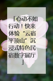 心动不如行动！快来体验“云宿平顶山”沉浸式特色民宿数字展厅