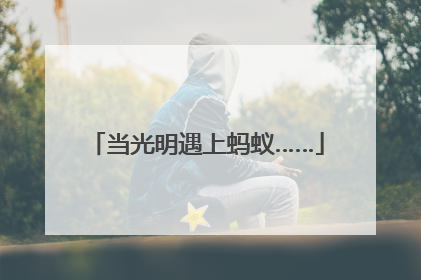 当光明遇上蚂蚁……