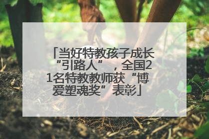 当好特教孩子成长“引路人”，全国21名特教教师获“博爱塑魂奖”表彰