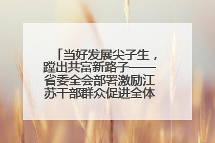 当好发展尖子生，蹚出共富新路子——省委全会部署激励江苏干部群众促进全体人民共同富裕