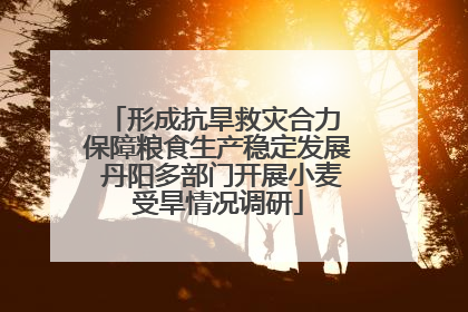 形成抗旱救灾合力 保障粮食生产稳定发展 丹阳多部门开展小麦受旱情况调研