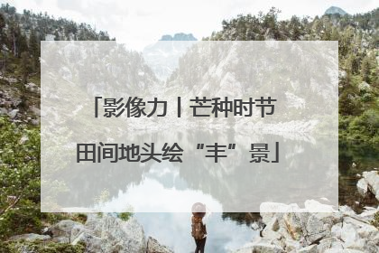 影像力丨芒种时节 田间地头绘“丰”景