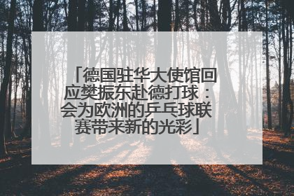 德国驻华大使馆回应樊振东赴德打球：会为欧洲的乒乓球联赛带来新的光彩