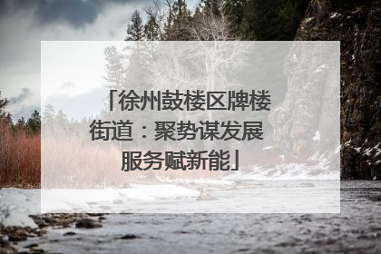 徐州鼓楼区牌楼街道：聚势谋发展 服务赋新能