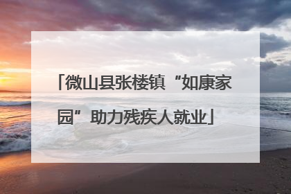 微山县张楼镇“如康家园”助力残疾人就业
