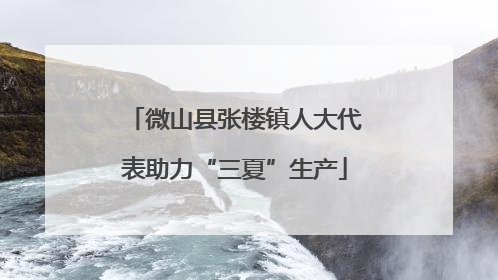 微山县张楼镇人大代表助力“三夏”生产