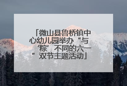 微山县鲁桥镇中心幼儿园举办“与‘粽’不同的六一”双节主题活动