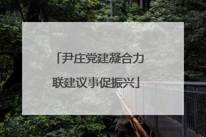 尹庄党建凝合力 联建议事促振兴
