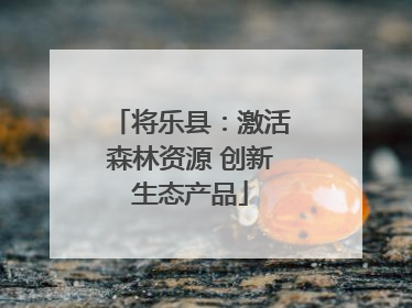 将乐县：激活森林资源 创新生态产品