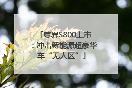 尊界S800上市：冲击新能源超豪华车“无人区”