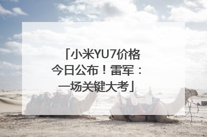 小米YU7价格今日公布！雷军：一场关键大考