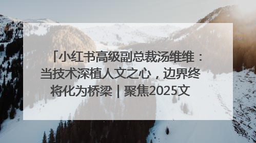 小红书高级副总裁汤维维：当技术深植人文之心，边界终将化为桥梁｜聚焦2025文化强国建设高峰论坛