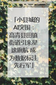 小县城的AI突围：高青县田镇街道引来星途旗航 成为数据标注先行军