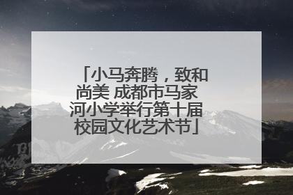 小马奔腾,致和尚美 成都市马家河小学举行第十届校园文化艺术节